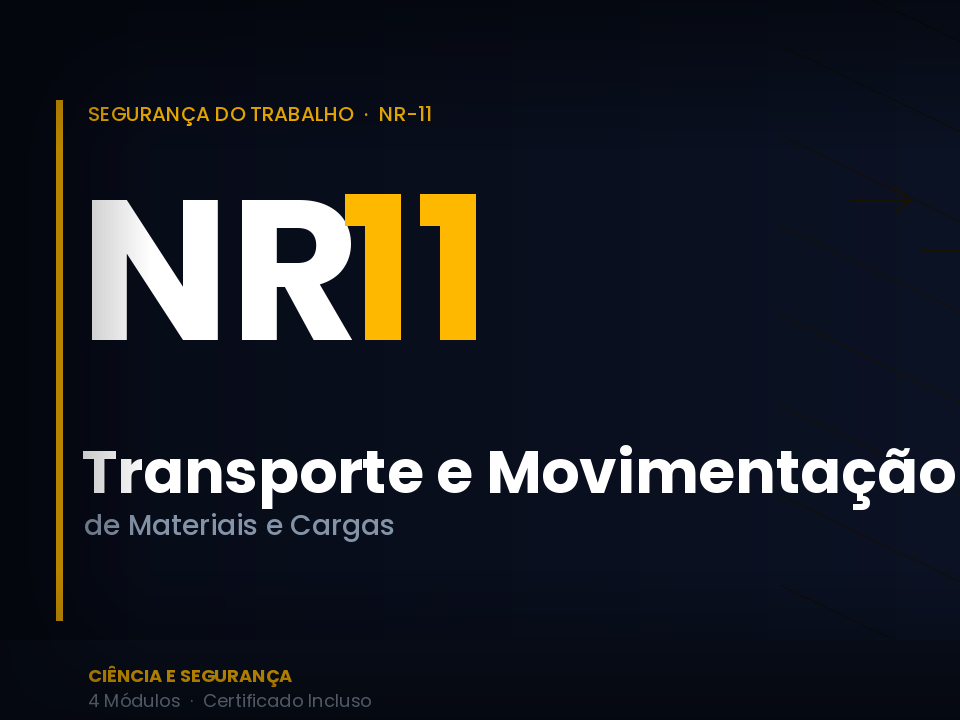 NR-11